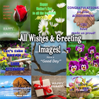All Wishes & Greetings Images biểu tượng