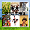 Happy Harvest Festival