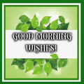 Good Morning Wishes