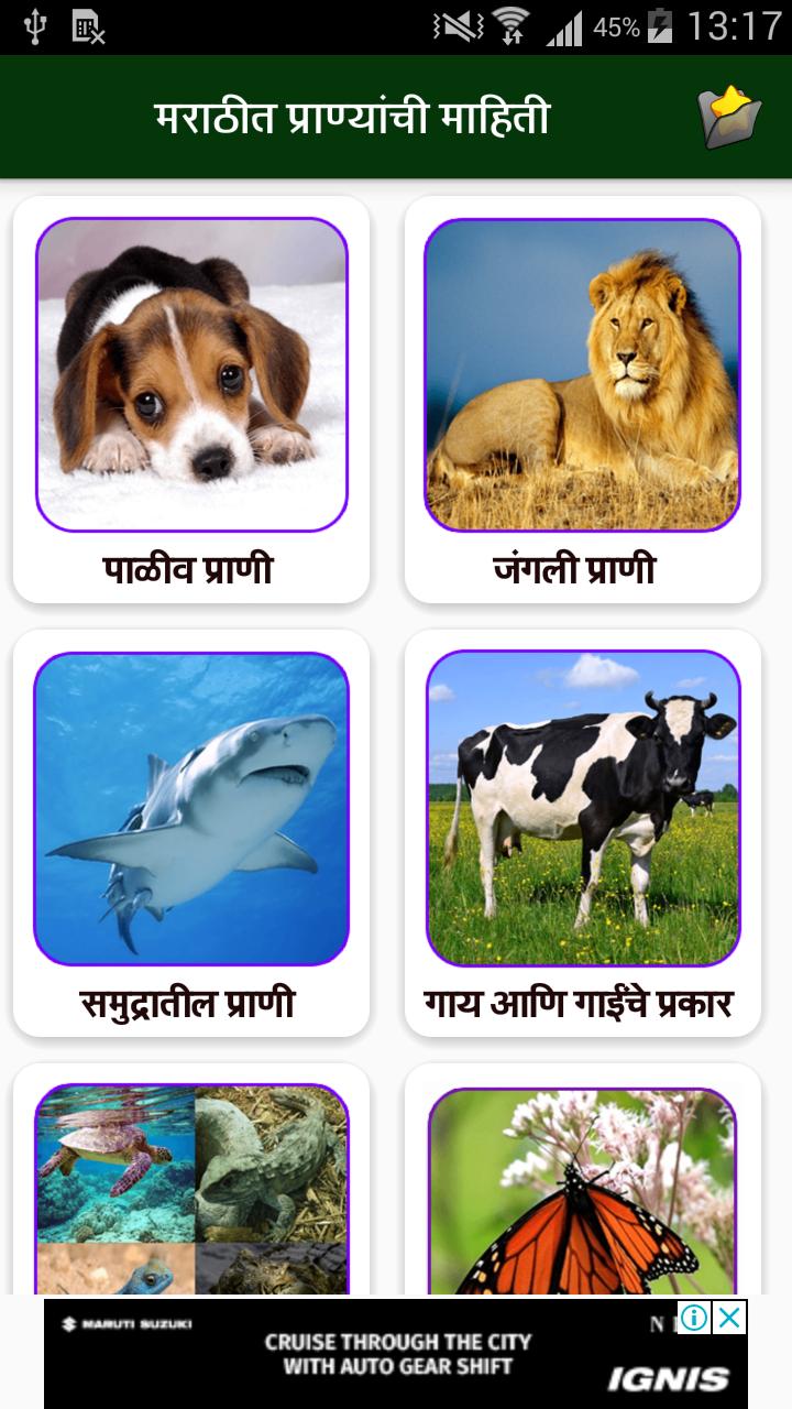 Animals Information in Marathi l प्राण्याची माहिती APK for Android Download Animals Information in Marathi l प्राण्याची माहिती APK for Android Download
