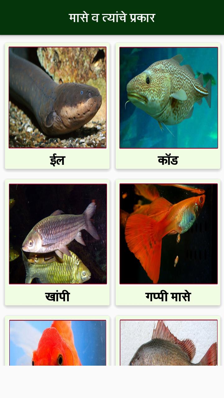 Maldhok Pakshi Information In Marathi Animals Information in Marathi l प्राण्याची माहिती for Android - APK