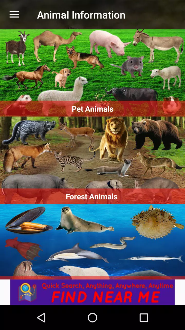 Animal information App APK for Android Download Animal information App APK for Android Download