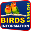 All Birds Information