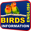 All Birds Information APK