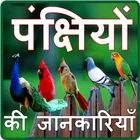 Birds Information in Hindi icon