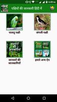 Birds Information in Hindi screenshot 1