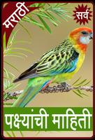 Birds Information in Marathi capture d'écran 1