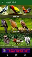 Birds Information in Marathi screenshot 2