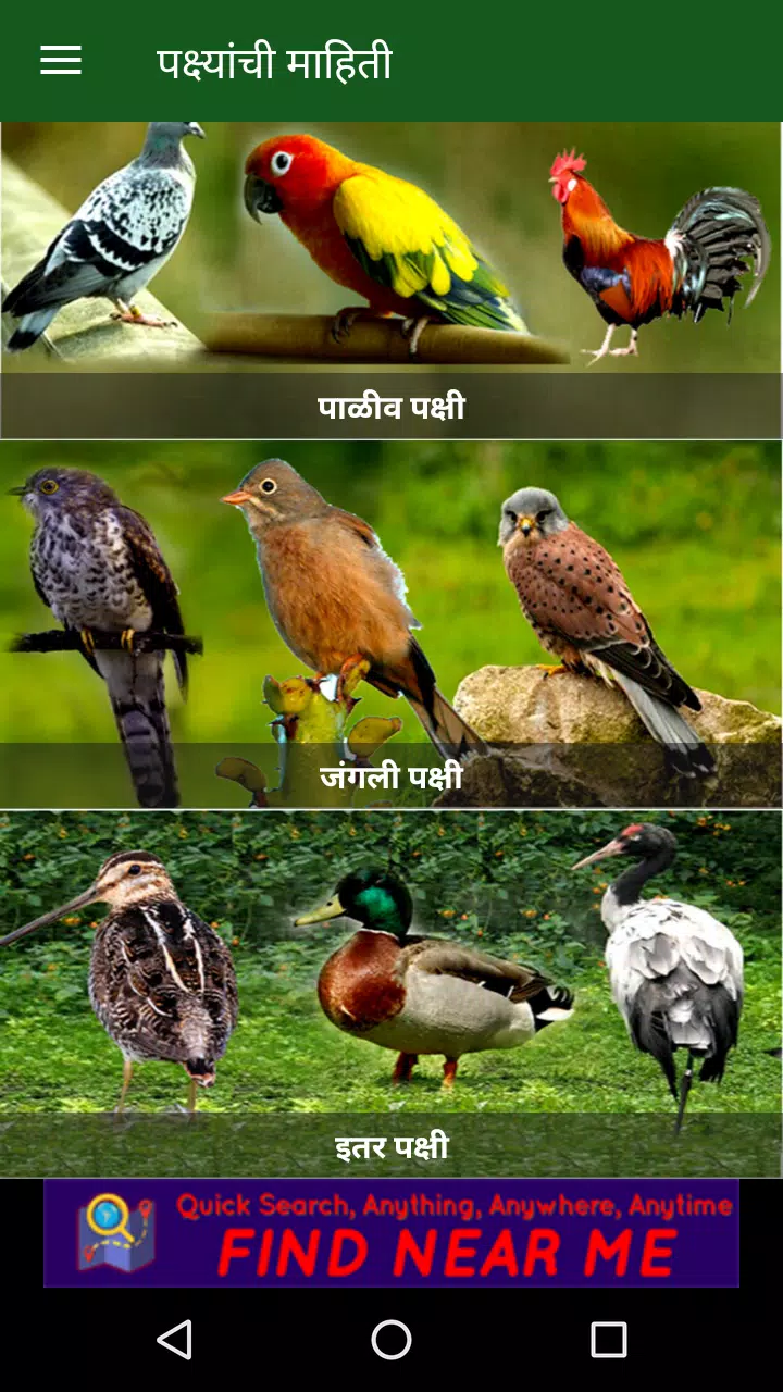 Birds Information in Marathi APK for Android Download Birds Information in Marathi APK for Android Download
