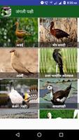 Birds Information in Marathi screenshot 3
