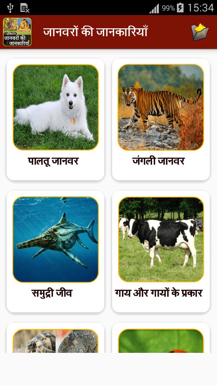 Animal information. Information about animals.
