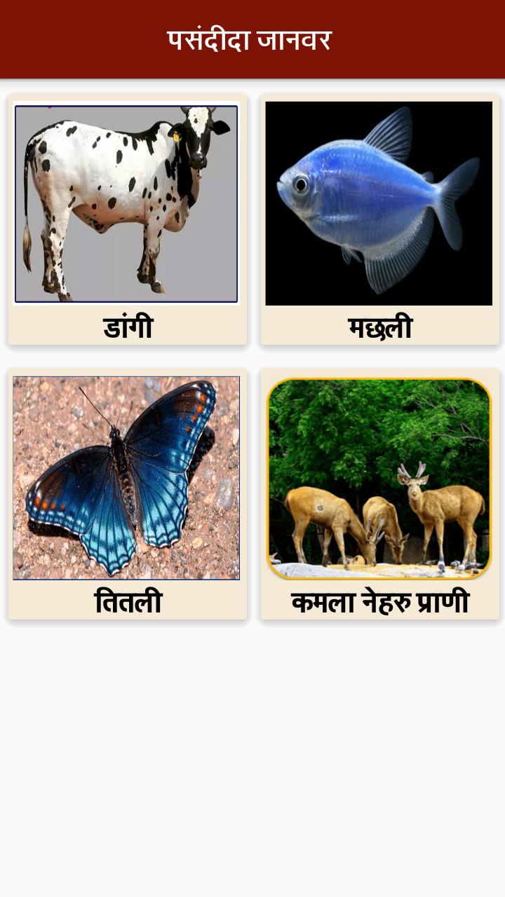 Animal information. Information about animals.