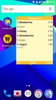 Shopping List with Widget Affiche