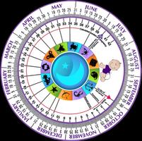 پوستر Pregnancy Wheel