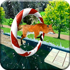Fox Water Stunts biểu tượng