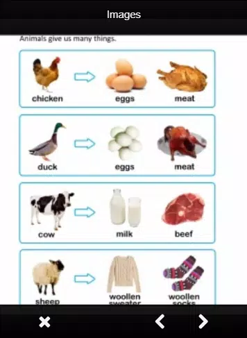 Tải xuống APK Useful Animals And Their Uses cho Android Tải xuống APK Useful Animals And Their Uses cho Android