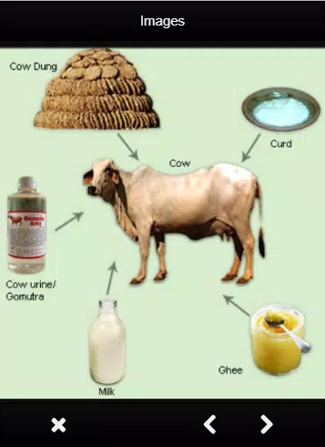 Useful Animals And Their Uses APK for Android Download Useful Animals And Their Uses APK for Android Download