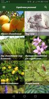 Справочник растений Affiche
