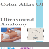 Abdominal Ultrasound Guide icon