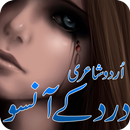 Urdu Shayari , Urdu Poetry APK