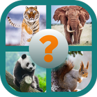 Guess The Animal - Quiz ไอคอน