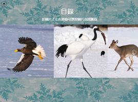 北海道鶴居之旅攝影集 截图 1