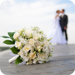 SunWedding