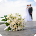 SunWedding