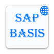 SAP BASIS Admin - Global