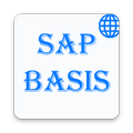 ”SAP BASIS Admin - Global