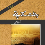 Jannat kay Pattay Nimra Ahmed - New Edition