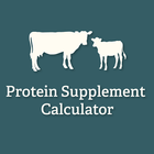 Protein Supplement Calculator icône