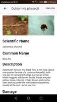 Pest ID Poster