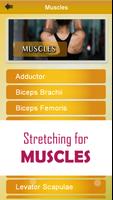 Stretching body Flexibility Routines screenshot 3
