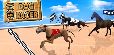 реальный собака гоночная игра