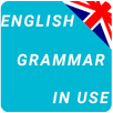 Essential Grammar In Use APK