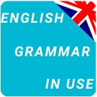 Essential Grammar In Use ícone