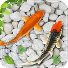 Fish Live Wallpaper 2018 simgesi