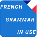 French Grammar Overview APK
