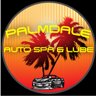 Palmdale Car Wash icône