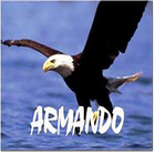 Remis Armando アイコン