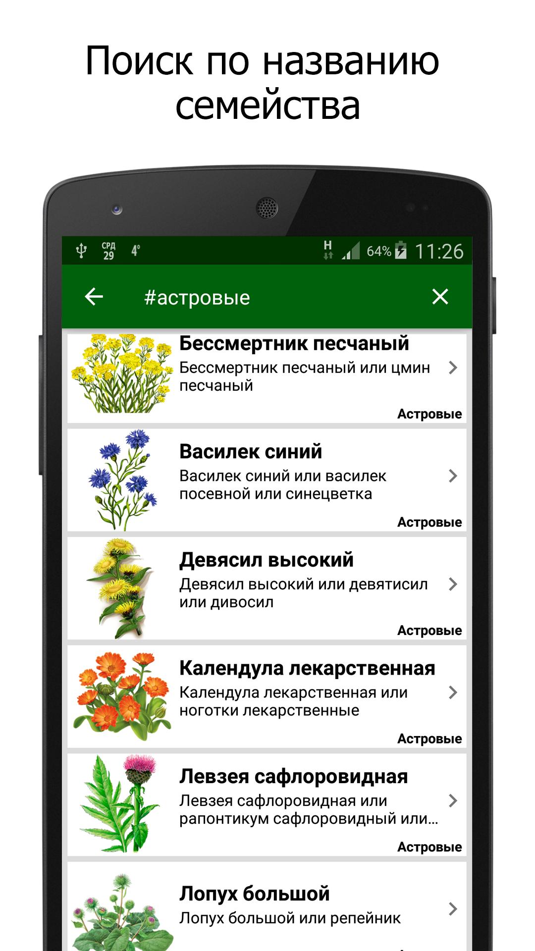 Какое растение программа. Лекарственные растения список. Приложение лекарственные травы. Самые известные лекарственные растения. Лекарственные растения Узбекистана.