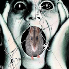 Rat prank ícone
