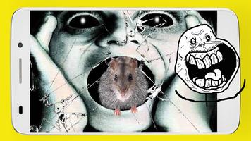 Rat prank Cartaz