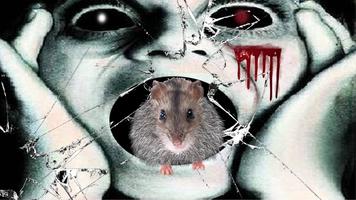 Rat prank 스크린샷 3