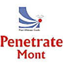 Penetrate Mont VTS v2 APK
