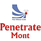 Penetrate Mont VTS v2 icône