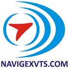 Navigex 图标