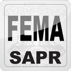 FEMA иконка