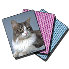 Kitty cat cards mahjong ไอคอน